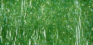 8" Standard Egyptian Fringe (Color Options)
