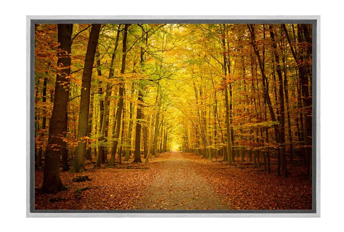 Autumn Forest 5 | Canvas Wall Art Print
