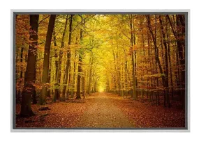 Autumn Forest 5 | Canvas Wall Art Print
