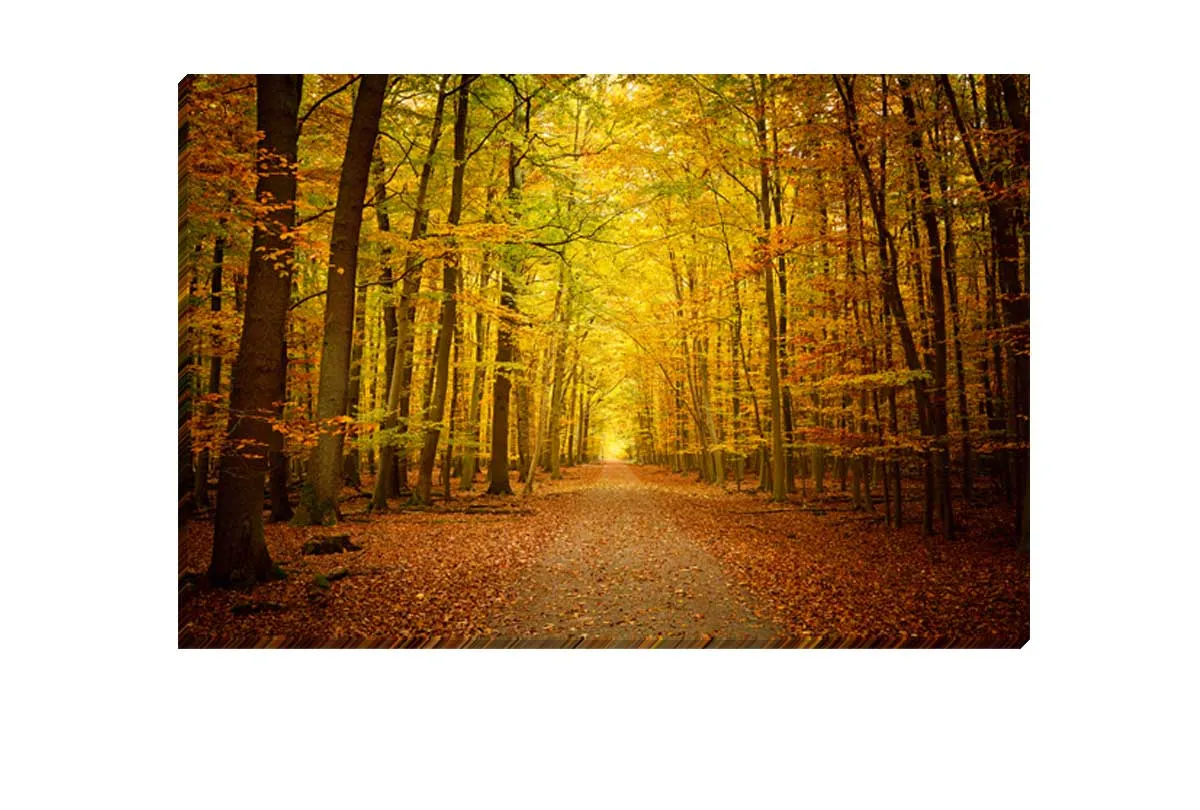 Autumn Forest 5 | Canvas Wall Art Print