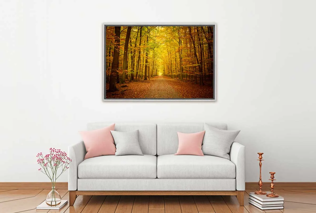 Autumn Forest 5 | Canvas Wall Art Print