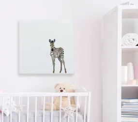 Baby Zebra Canvas Wall Art