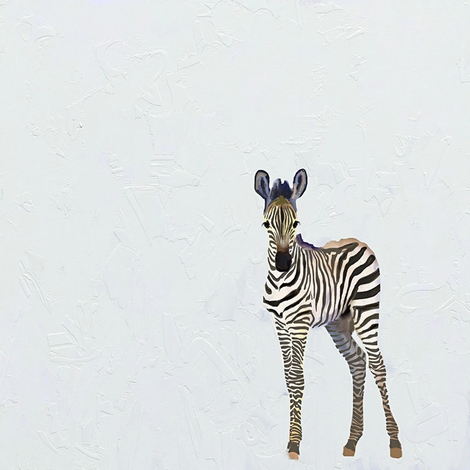 Baby Zebra Canvas Wall Art