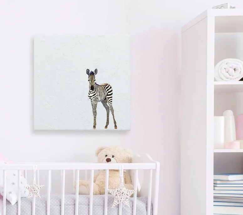 Baby Zebra Canvas Wall Art