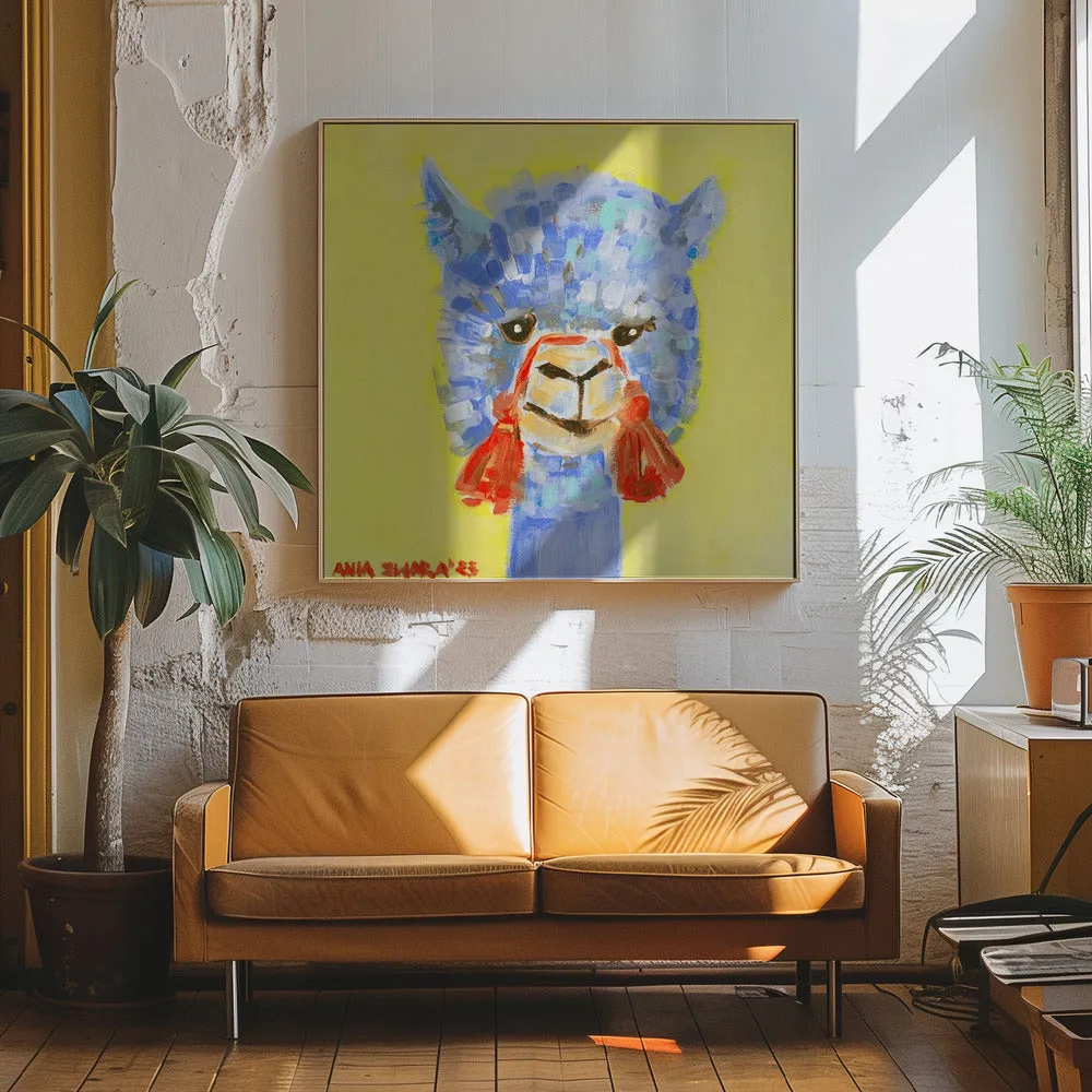 Blue Alpaca - Square Stretched Canvas, Poster or Fine Art Print