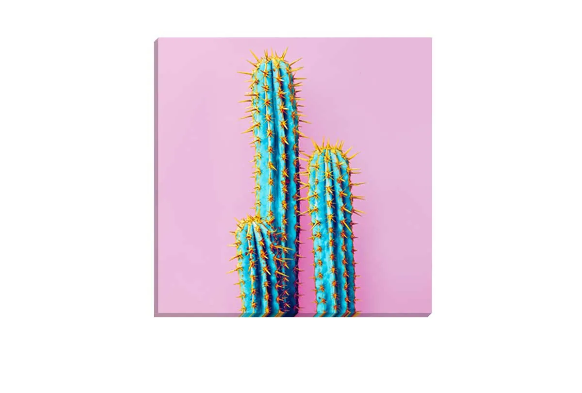 Cactus with Pink Background | Canvas Wall Art Print