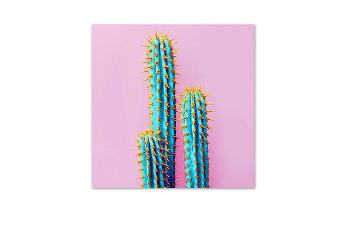 Cactus with Pink Background | Canvas Wall Art Print