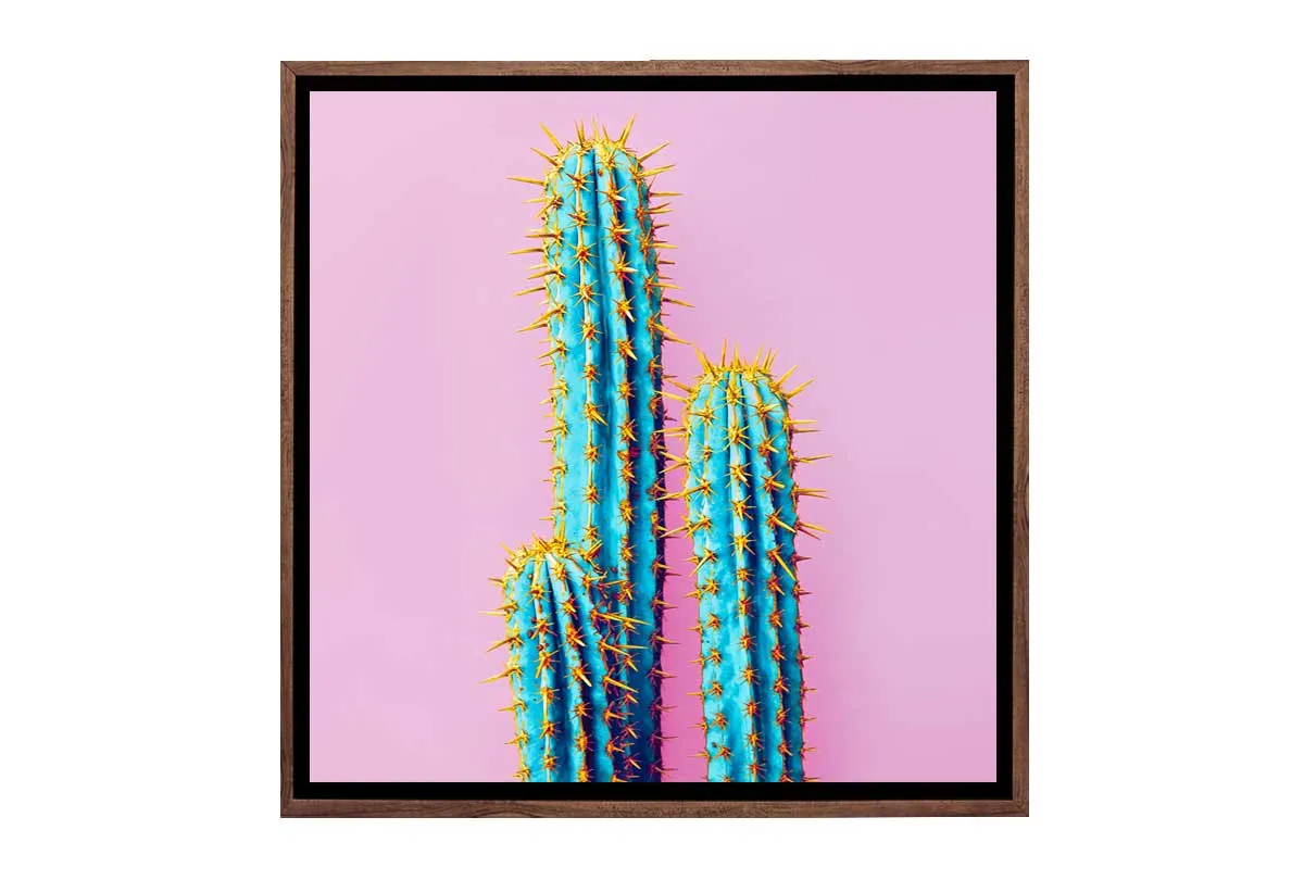 Cactus with Pink Background | Canvas Wall Art Print