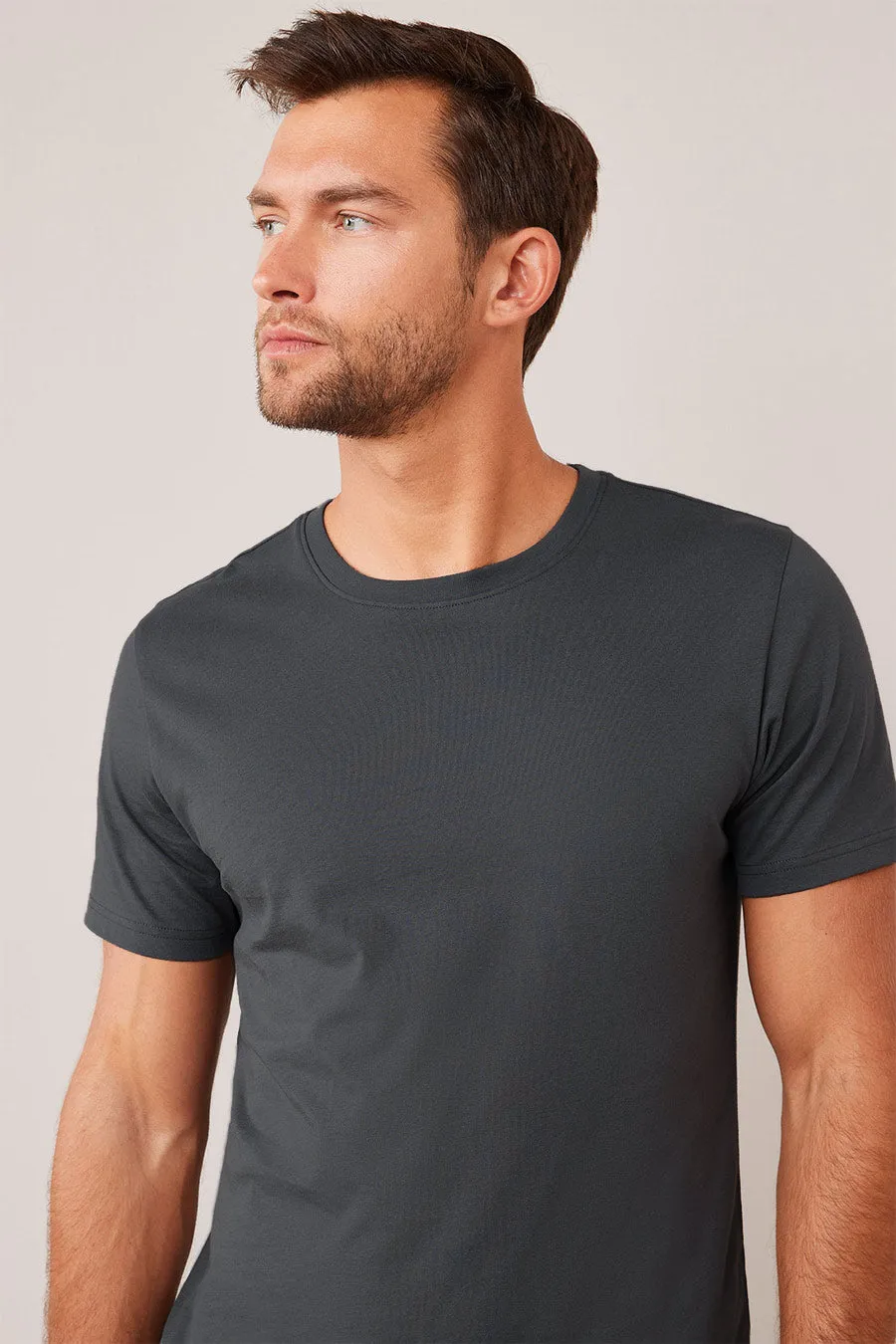 Classic Crew in Smoky Grey