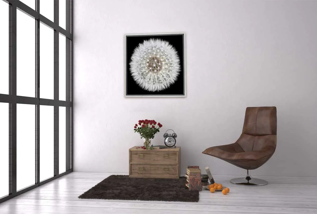 Dandelion Black Background | Canvas Wall Art Print