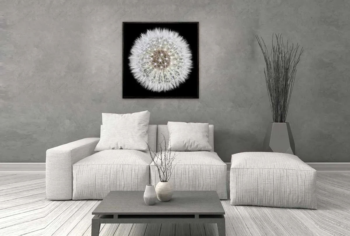Dandelion Black Background | Canvas Wall Art Print