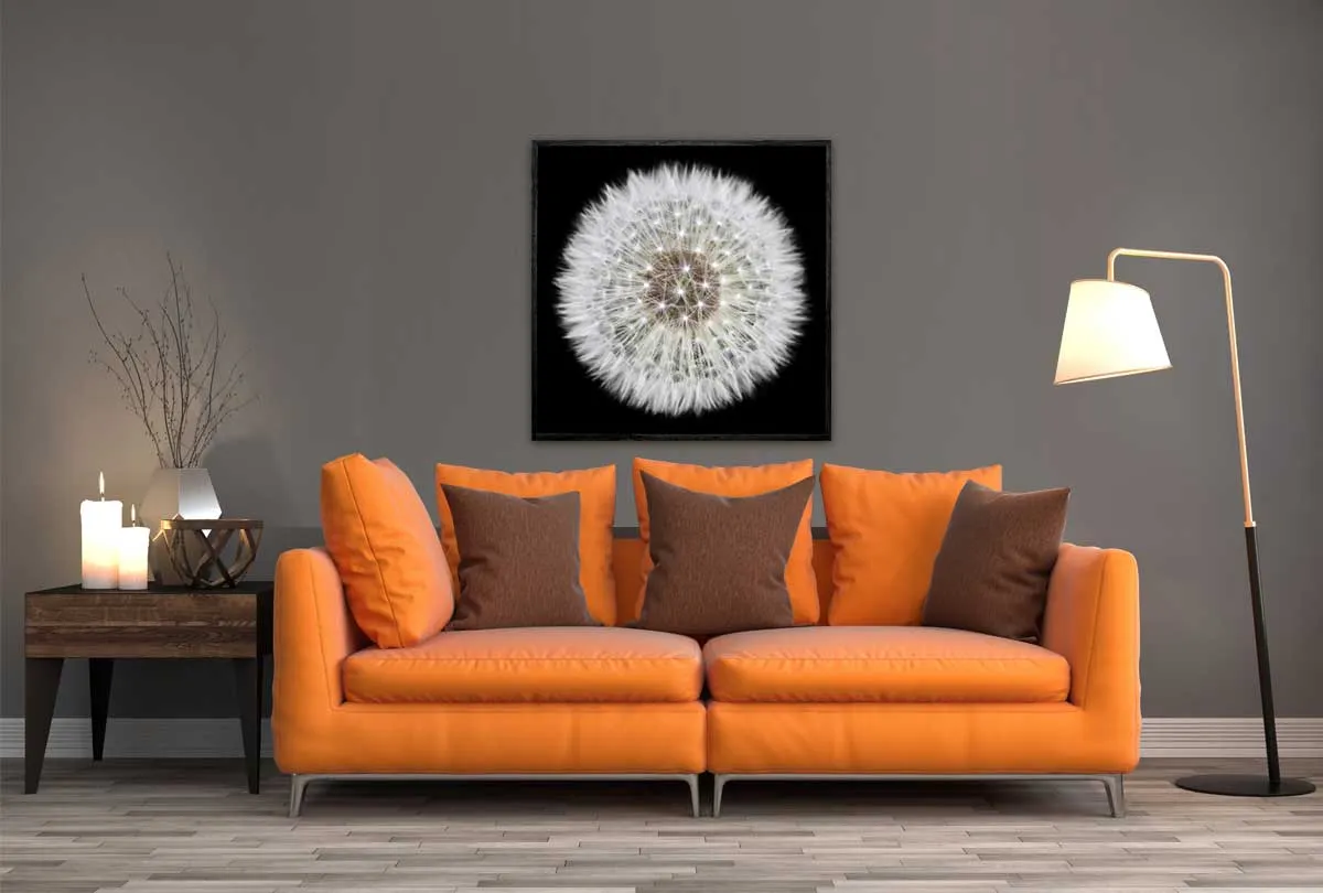 Dandelion Black Background | Canvas Wall Art Print