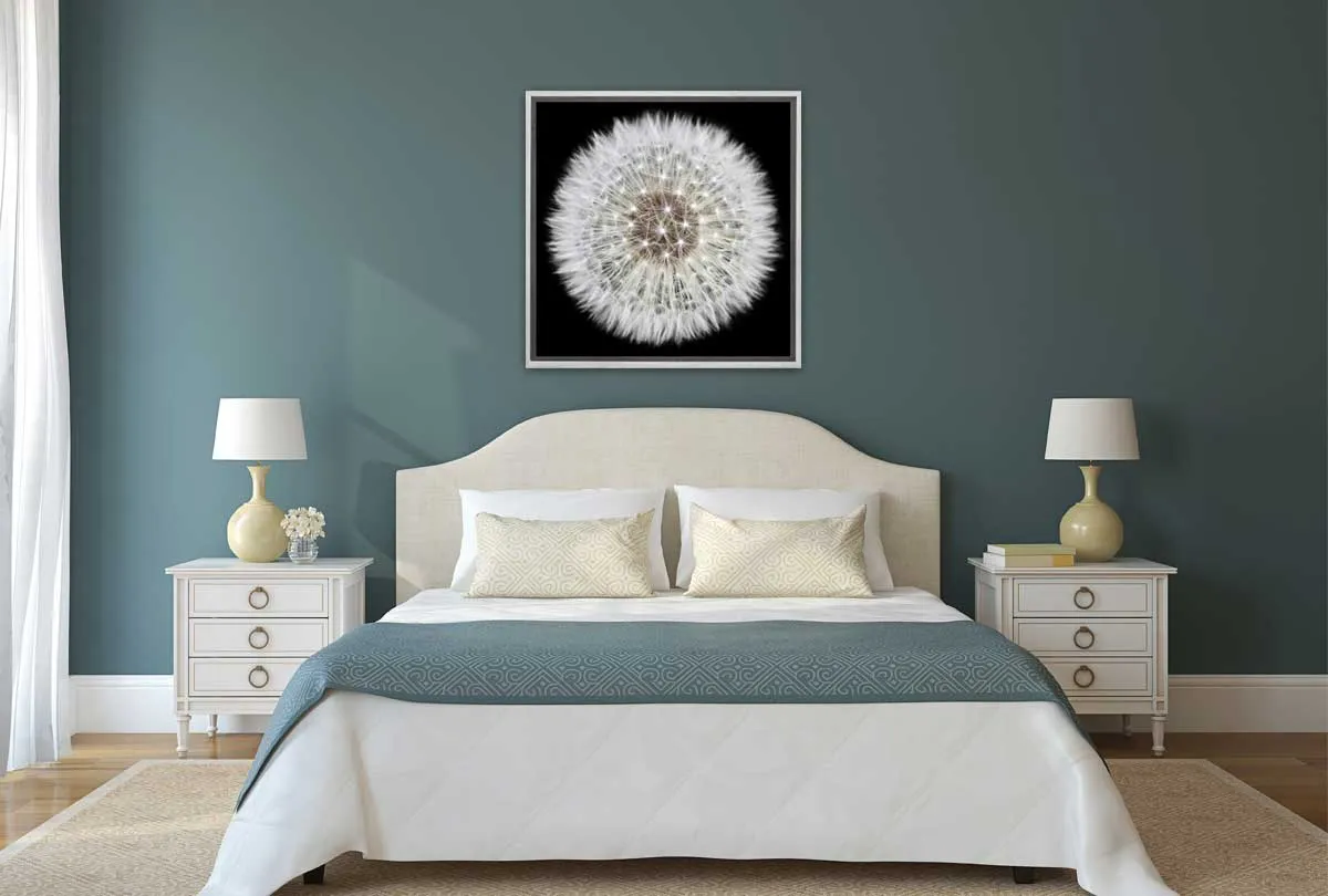 Dandelion Black Background | Canvas Wall Art Print