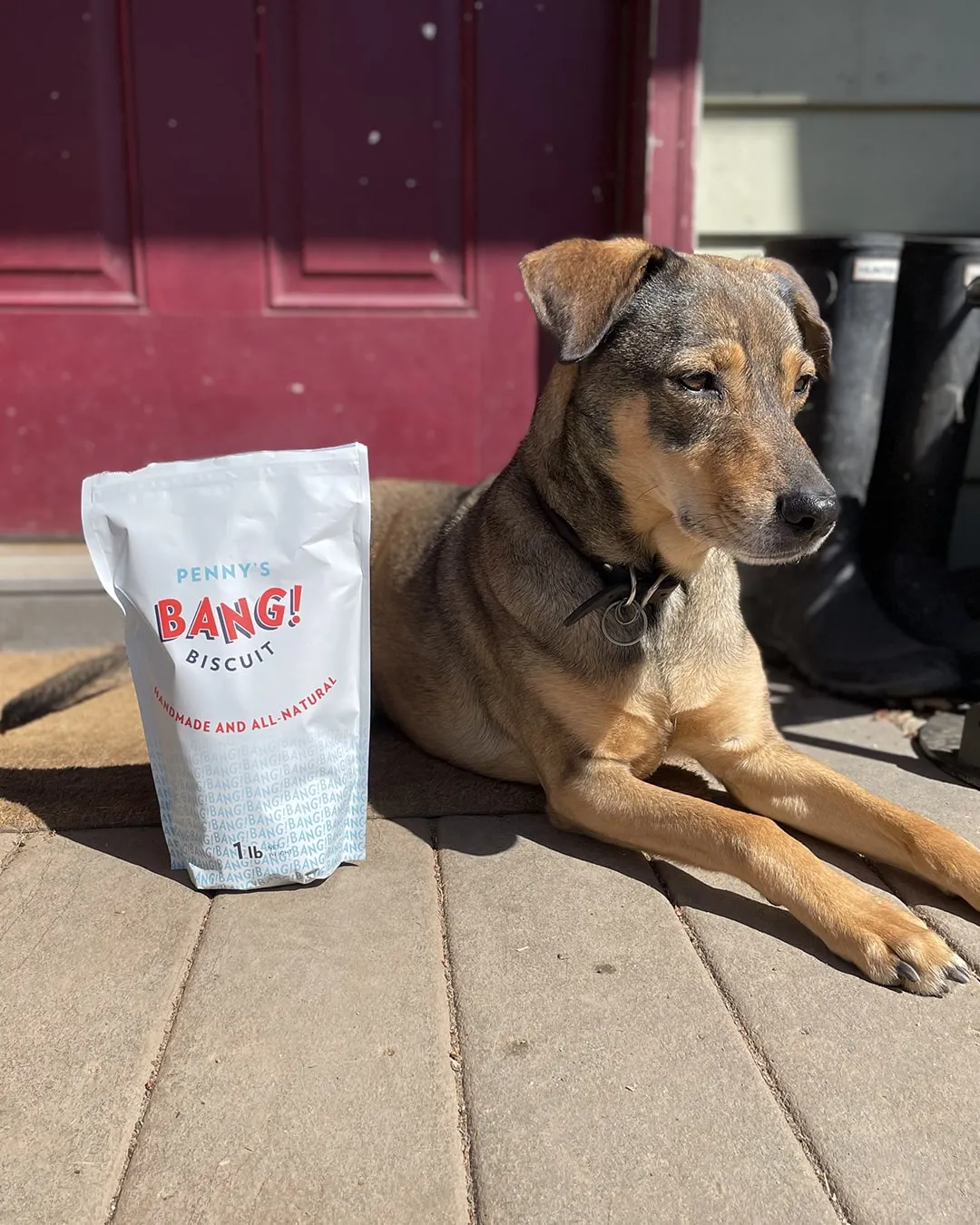 Penny's Bang Biscuits (Medium/Large Dogs)